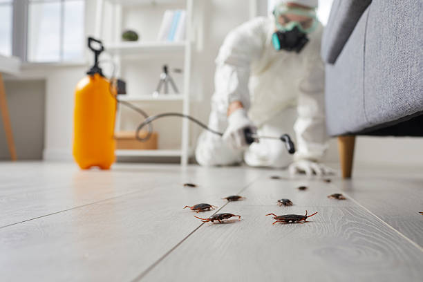 Commercial Rodent Management in Clifton Forge